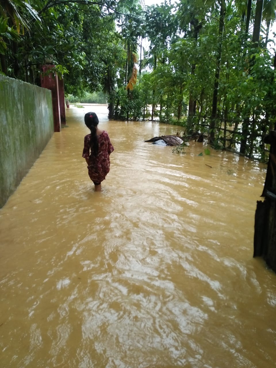 Education in Emergency